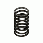 Valve Spring